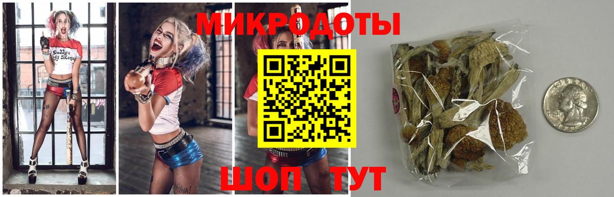 Галлюциногенные грибы прущие грибы Печора